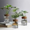 Transparent Hydroponic Flower Holder Glass Flower Pot Mountain Viewing Bottle  Desktop