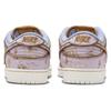 Nike SB Dunk Low Premium City Of Style Skateboard Shoes FN5880-001