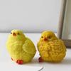 Silicone Chicken Mould for Baking Enthusiasts And Home Chefs Portable for Creating Cute Chick Shapes In Your Kitchen
