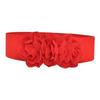 Elastic Waist Belt Chunky Wide Belt for Women for Dress Maxi
