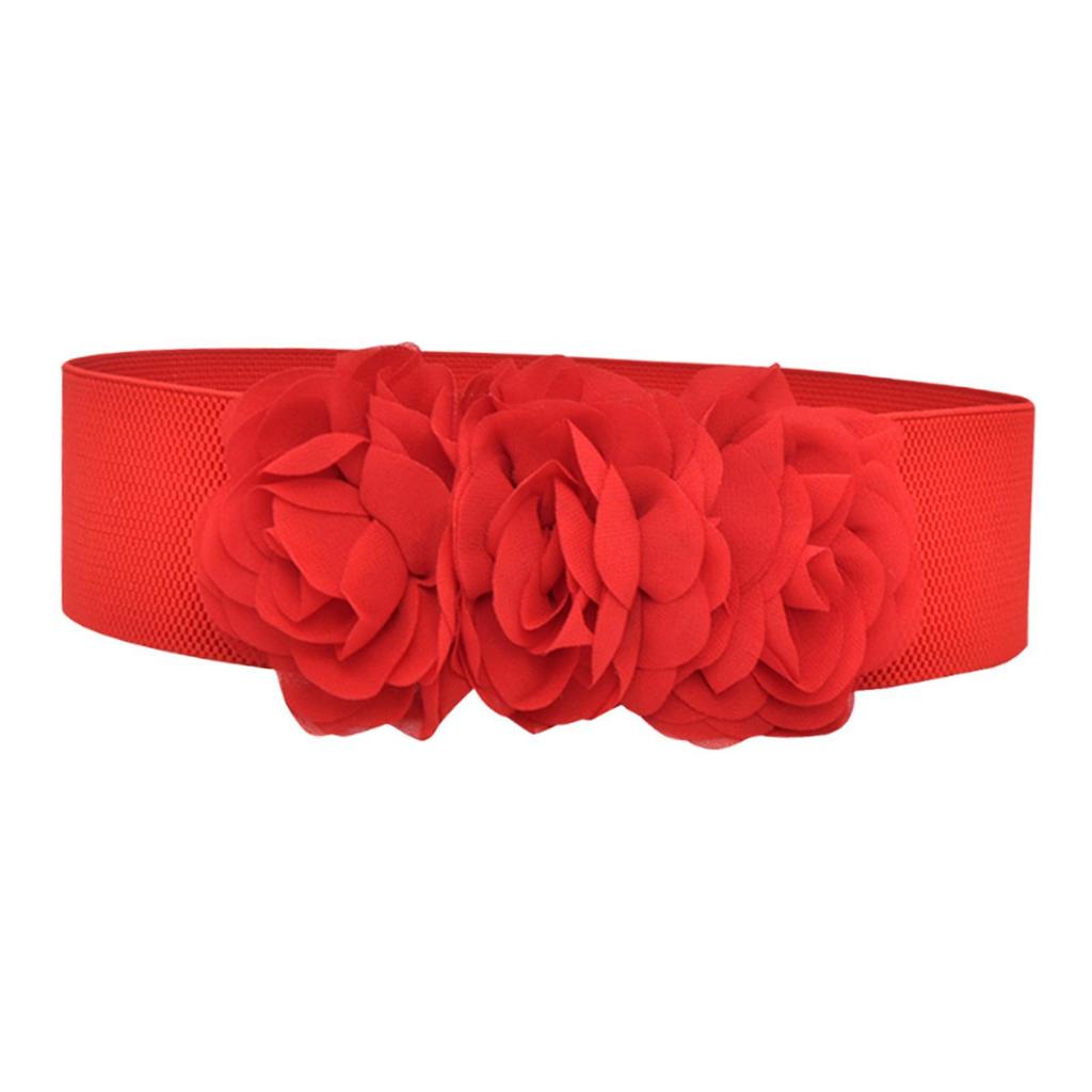 Elastic Waist Belt Chunky Wide Belt for Women for Dress Maxi