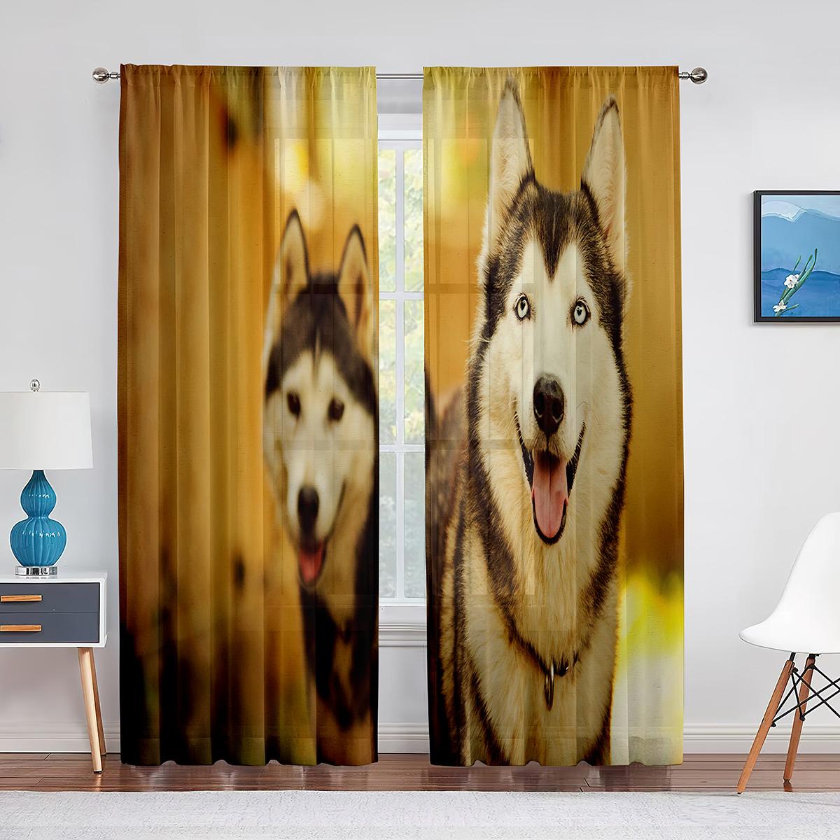 Зимние снежные собаки хаски — фото 13