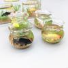 62KD Delicate Glass Fish Aquarium for Dollhouse Decoration Realistic Glass Decor