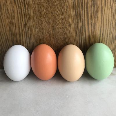Colorful Wooden Fake Egg DIY Easter Egg Kids Drawing Painting Graffiti Play House Toy