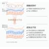 OSITREE - Dynamic Clear Sun Primer SPF 50+ PA++++