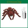 Aranha de Brinquedo com Controle Remoto Feita de Material Plástico para Crianças de 7 a 14 Anos