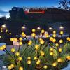 Solar Firefly Bubble String Lights