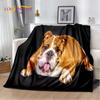 Cartoon French Pit Bull Dog Pet Soft Plush Blanket,Flannel Blanket Throw Blanket for Living Room Bedroom Bed Sofa Picnic Cover
