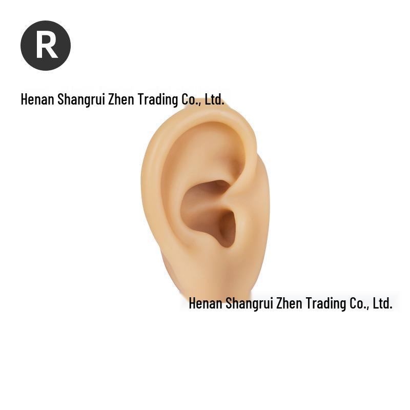 5D Ear Picking Silicone Model: Earphone Display, Acupoint, Jewelry & Hearing Aid Prop