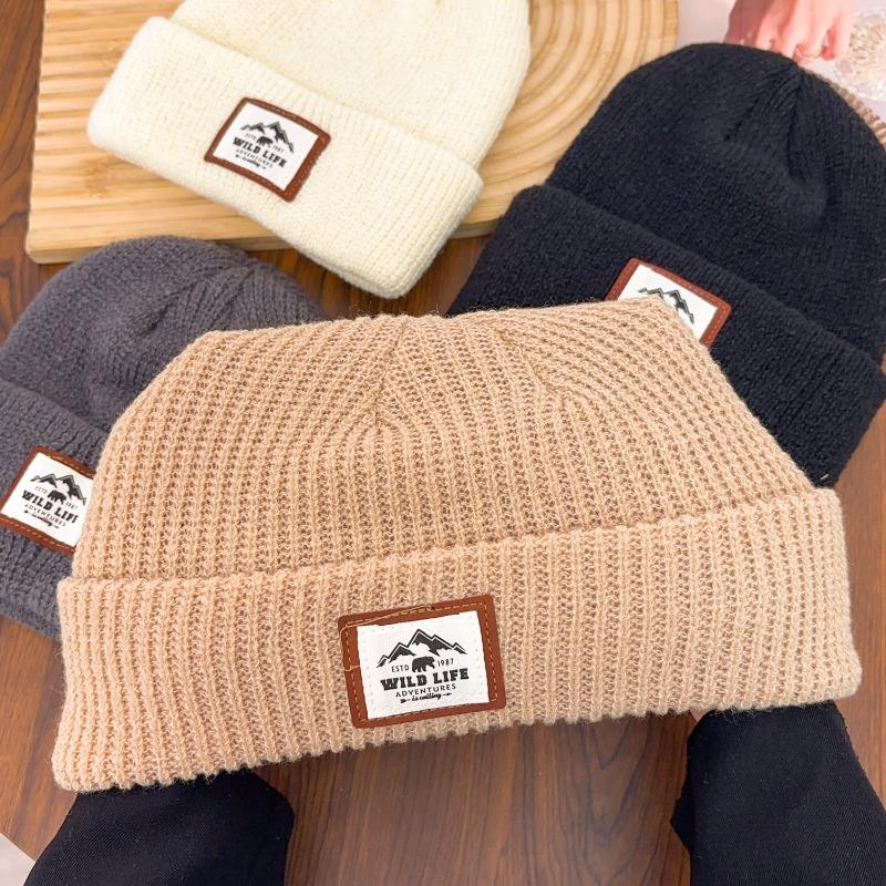 Winter Warm Knitted Hat Fashionable and Versatile Embroidered Label Knitted Hat Outdoor Cold Proof and Velvet Dome Hoodie