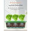 Self-Watering Rectangular Planter Box