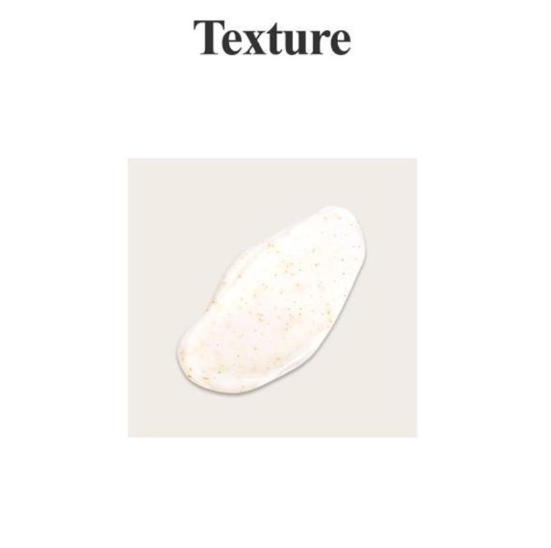 Petitfee Gold Neck Cream 50g – Firming & Hydrating Neck Care