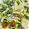 Forest Shuffle Card Family Game for Kids Adults Woodland Edge Party Board Games