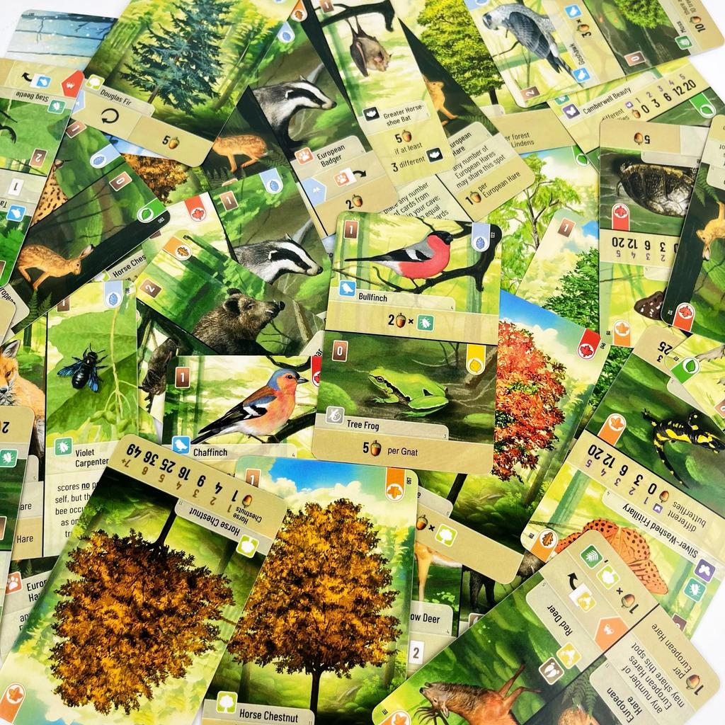 Forest Shuffle Card Family Game for Kids Adults Woodland Edge Party Board Games