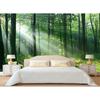 Groen Bosbehang Bos Muurschildering Mistig Bos Boom Behang Natuur Landschap Muurschilderingen Voor Badkamer Woonkamer Huisdecoratie Muurschildering