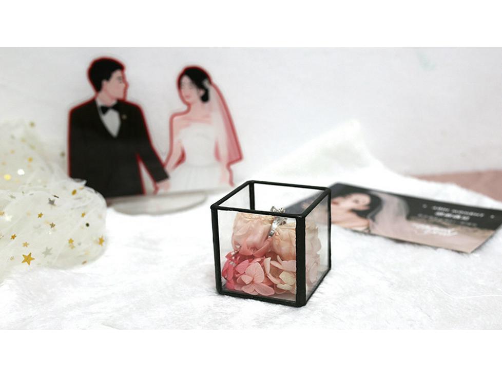 Square Transparent Glass Jewelry Box - Ring, Ear Stud, Earring, and Necklace Organizer