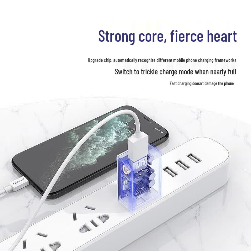 Pisen 1A Single Port Mini USB Wall Charger