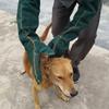 Long Thick Green Leather Anti-Bite Gloves Anti-Scratch Safety Handling Protection Gloves for Dogs Cats  Reptiles