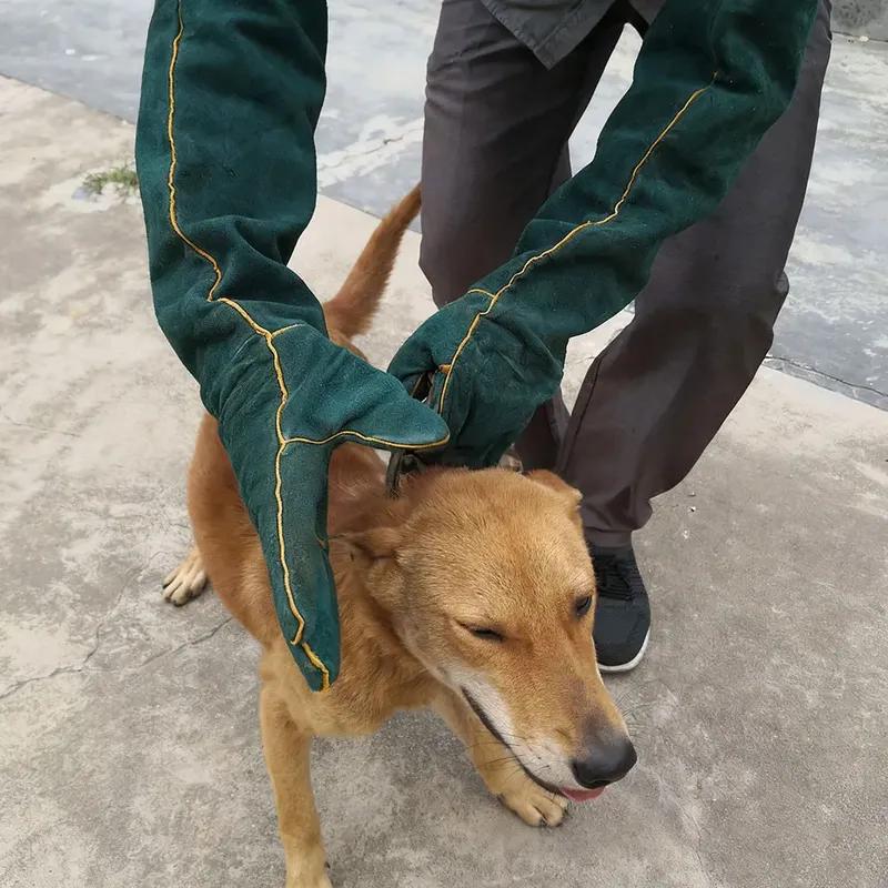Long Thick Green Leather Anti-Bite Gloves Anti-Scratch Safety Handling Protection Gloves for Dogs Cats Reptiles