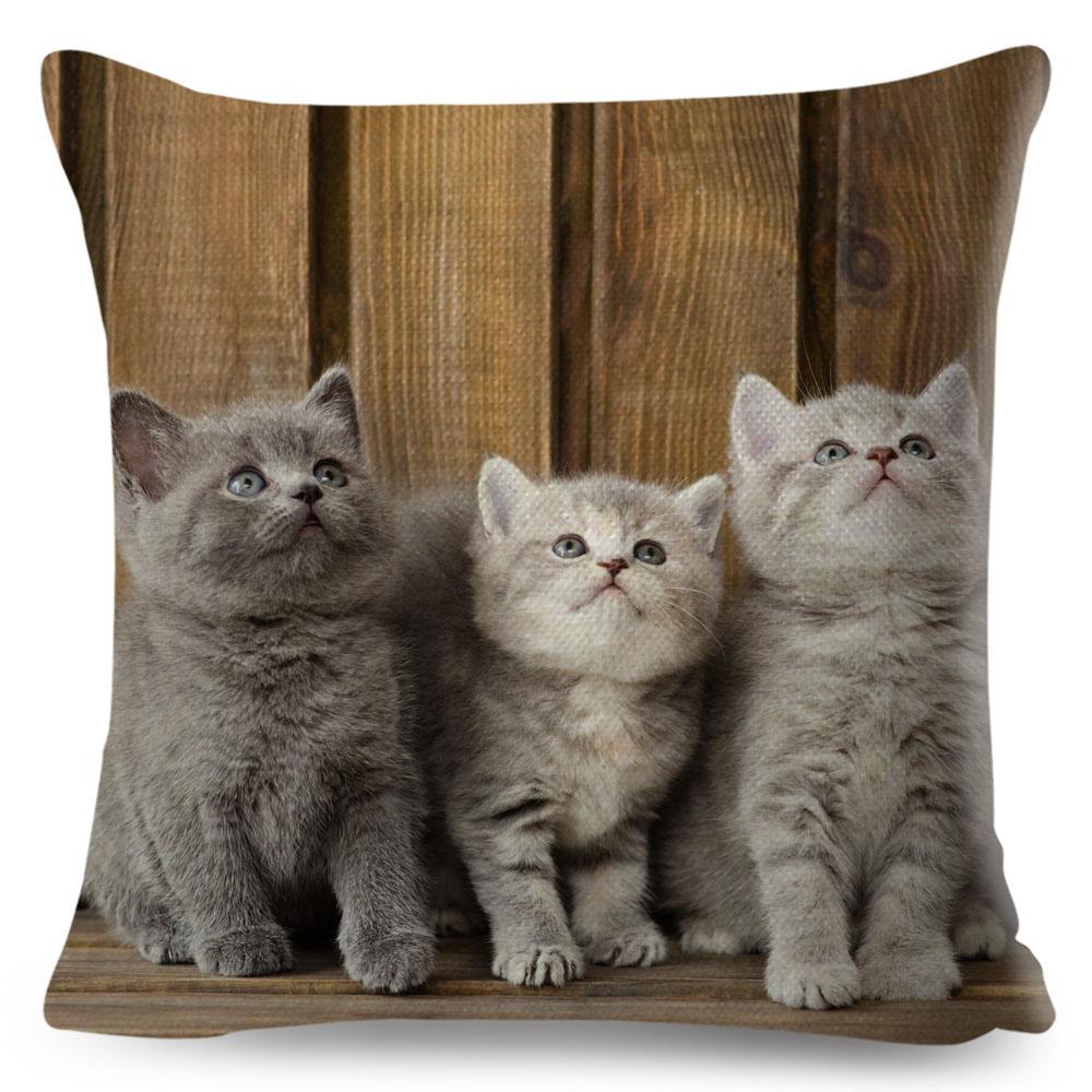 Housse de coussin British Shorthair bleu russe, taie d'oreiller en Polyester, décoration de chat mignon, Animal de compagnie, pour canapé, maison, voiture