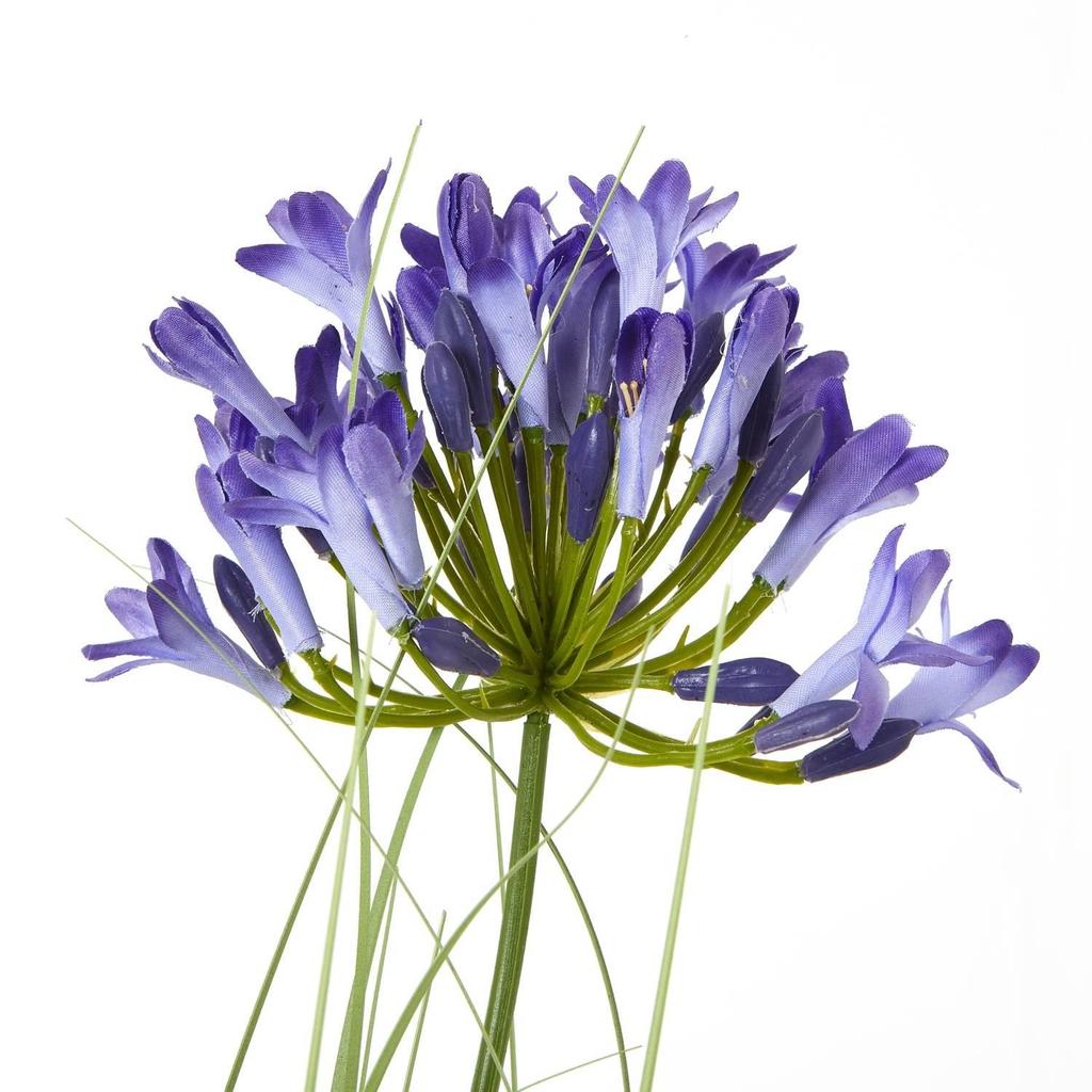 Hill Interiors Agapanthus Artificial Potted Plant