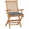 VidaXL Lot de 2 Chaises de Jardin avec Coussins, Sièges de Terrasse, Chaises de Salle à Manger, Meubles de Patio Extérieur, 3062503