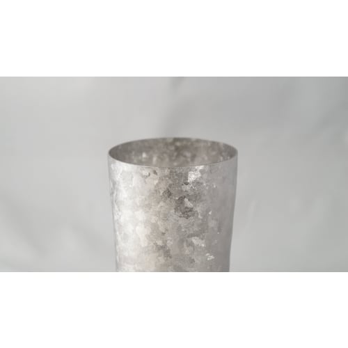 HORIE Pure Titanium Double-Walled Tumbler, High Insulation, Double-Walled, Kiln-Crafted, Premium, 350ml, Silver, T08KMS350