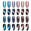 6Pcs Cat Eyes Magnet Set Magnetic UV Gel Nail Polish Magnet Pens 3D Flower Ombre Design Double Head Magnet Stick Manicure DIY