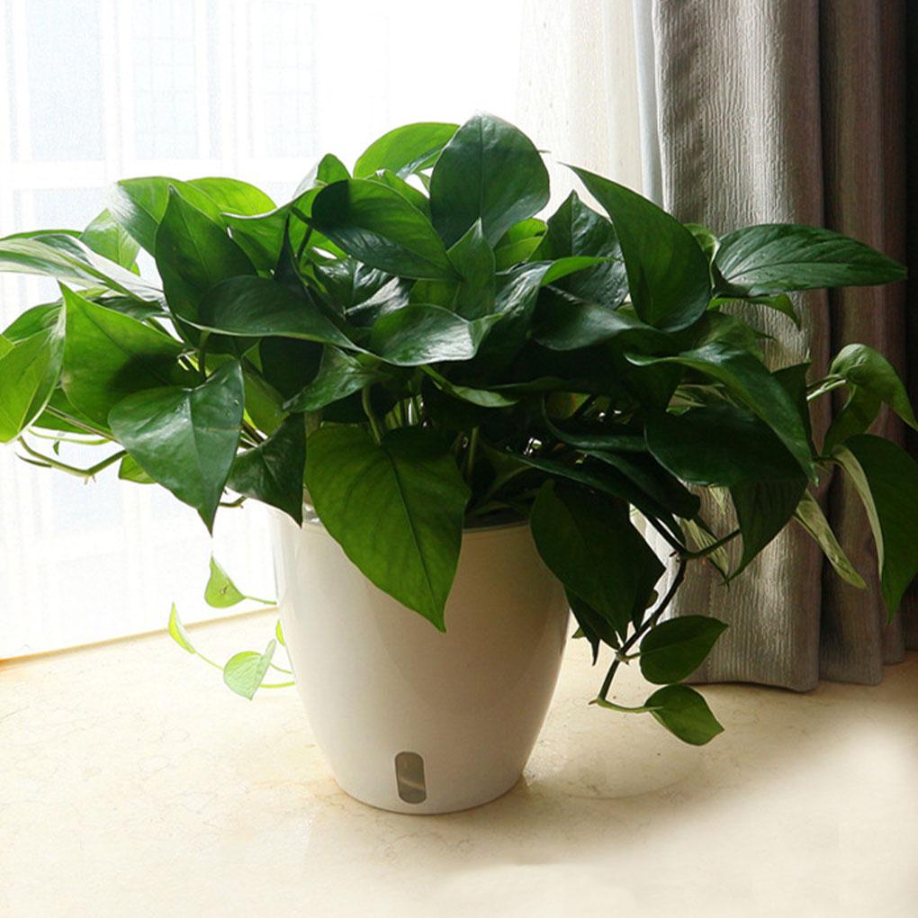 White Eco-friendly Self Watering Plant Pot For Enhancing Gardens Beauty Flower Pots Plant Pots