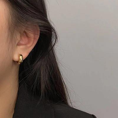 Chic and Trendy Small Hoop Earrings - Stylish Niche Design Accessories
