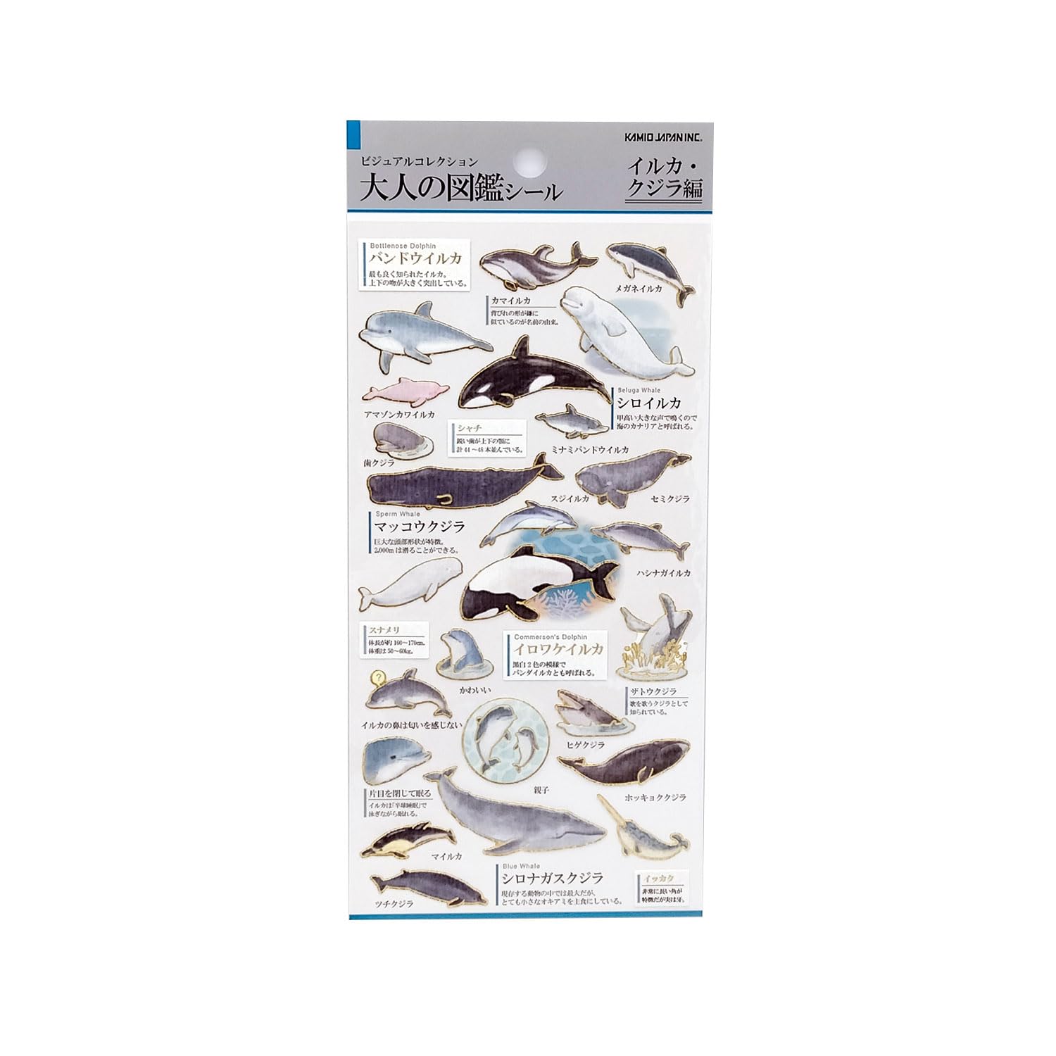 

Kamio Japan Stickers Adult Encyclopedia Stickers Dolphin Whale 215283