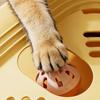 Creative Interactive Cat Puzzle Box Bell Maze Box Cat Teasing Box Cat Exercise Toy  Cat Supplies