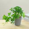 Fake Plant Fake Potted Plant Bonsai Decorative Potted Plant Artificial Bonsai Plant  Garden Decor