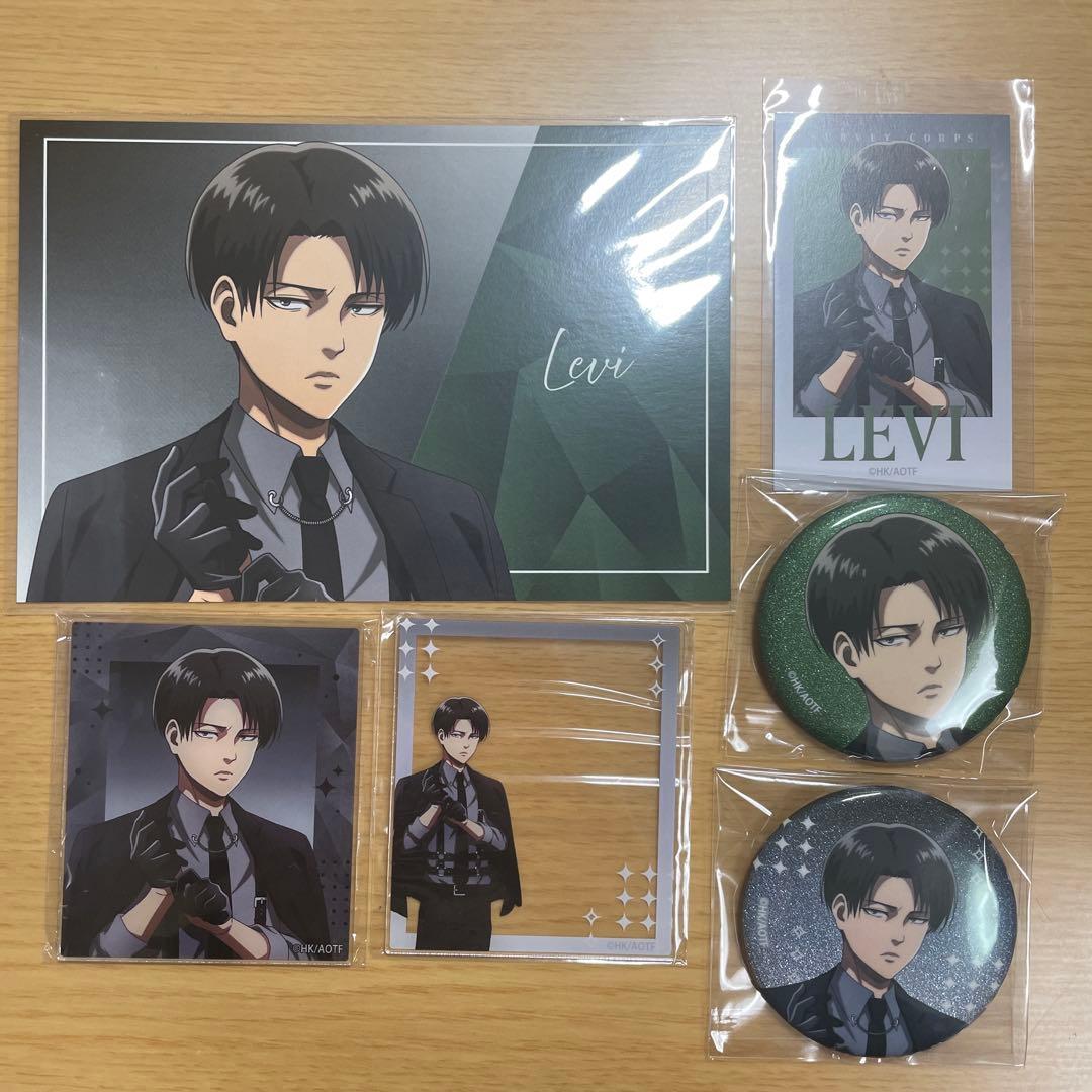 Used Attack on Titan Harness Levi 6-piece set