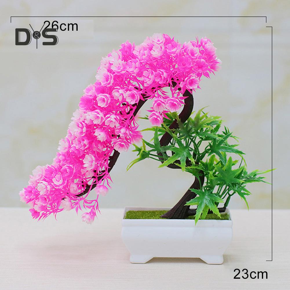 Buchet înflorit, flori, plantă, copac, bonsai, birou, grădină, petrecere, ornament de birou