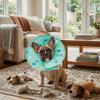 Comfortable Dog Recovery Collar Anti Licking Anti Bite Collar Pet Elizabethan Collar  for Cats Dogs
