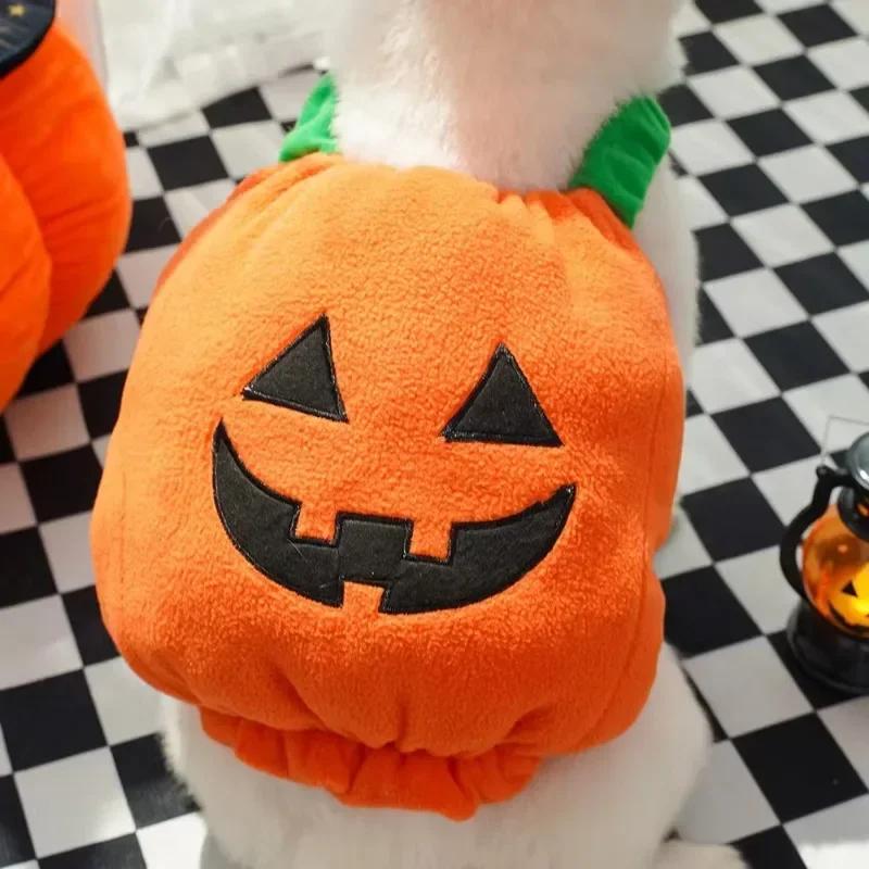 Funny Halloween Dog Costume Pumpkin Lantern Transformation Outfit with Cute Pumpkin Hat Two-Legged Pet Jacket for Dogs And Cats