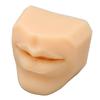 Human Mouth Model Soft Silicone High Simulation Lifelike Lips Model for Jewelry Display