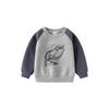 Boys' Fleece-Lined Sweater Autumn and Winter Children Single-Layer Fleece-Lined Long Sleeves Outwear Children Dinosaur Raglan Sleeve Pullover Tops