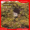 Golden Bear Hamster Bedding: Deodorizing Moss & Coconut Soil for Nesting, Digging & Landscaping
