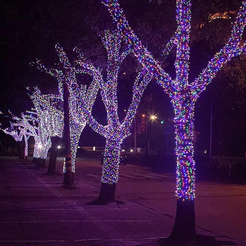 Outdoor Decorative LED String Lights