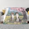 Ropa de cama – Edredones