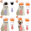Unique Fluffy Hair Wig With Blue Tie For Cats And Dogs Ideal For Weddings And Birthdays