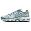 Air Max Plus Palm Pack - Waterway Men Sneakers Silver Fiberglass White FV0394-300