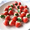 10PCS Simulation 3D Resin Fruit Pendant Sweet Strawberry Shape Pendant for DIY Jewelry Making Earring Necklace Keychains Accessories
