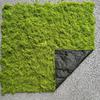 Artificial Bionic Moss Landscape - False Lawn for Micro Bonsai/Pottery (Indoor/Outdoor Use)