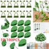 10-100Pcs Plant Climbing Wall Fixture Clips Rattan Clamp Fixator Self-Adhesive Vine Buckle Hook Garden Invisible Vine Bind Clip