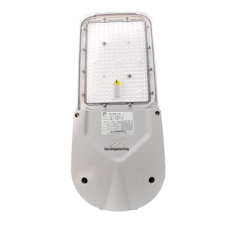 Haiyangwang OK-9612 100W LED Road Light