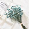 DIY Small Natural Photo Backdrop Pressed Gypsophila Babysbreath Bouquet Dry Flower Dried Flowers