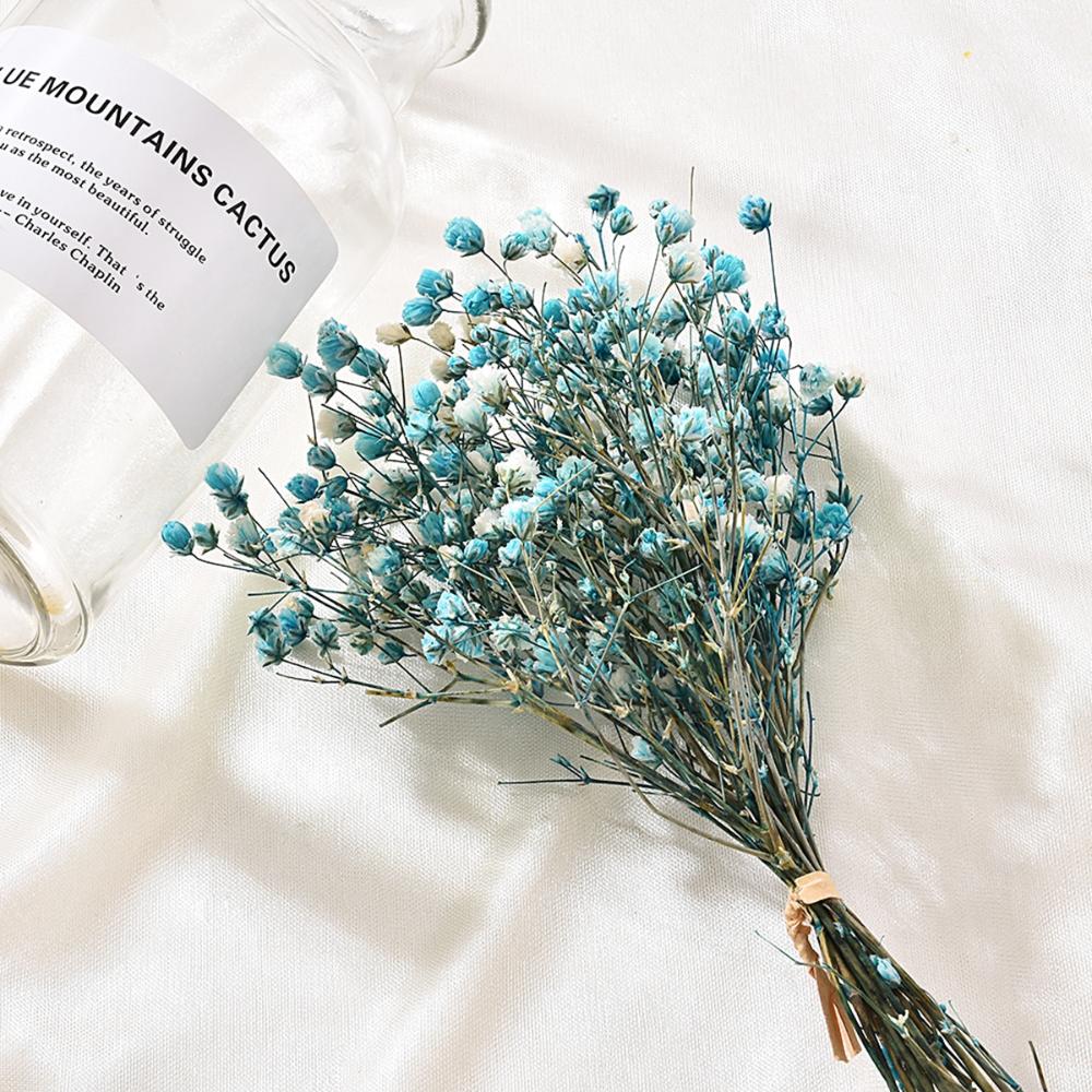 DIY Small Natural Photo Backdrop Pressed Gypsophila Babysbreath Bouquet Dry Flower Dried Flowers